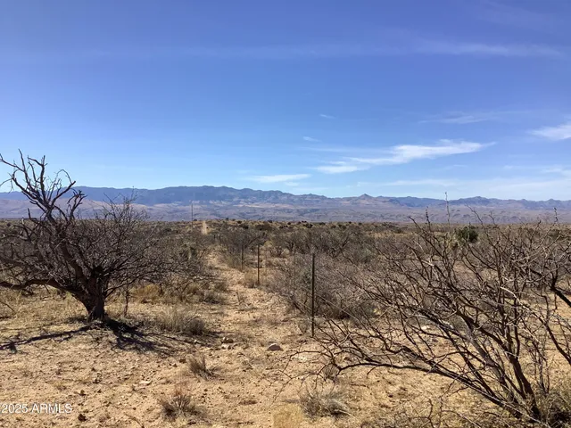 $52,000 | 37.21-ac West Sheepwash Road, Unit 254, Willcox, AZ 85643