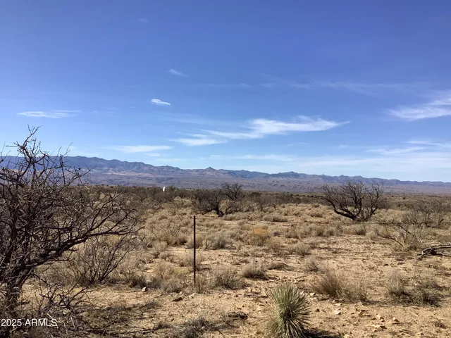 $52,000 | 37.21-ac West Sheepwash Road, Unit 254, Willcox, AZ 85643