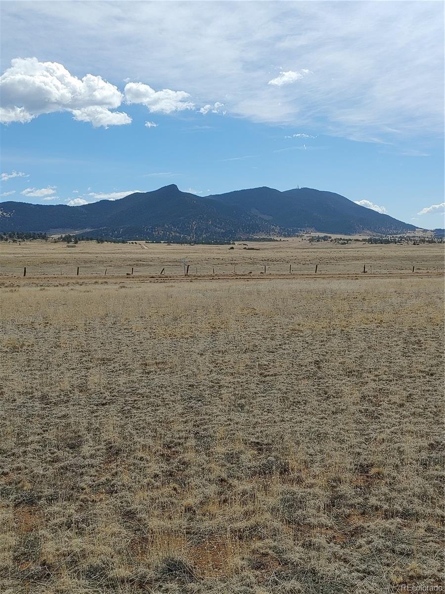 9995 Clear Creek Road Hartsel, CO 80449 - Photo 5 of 23 Gallery Image 5