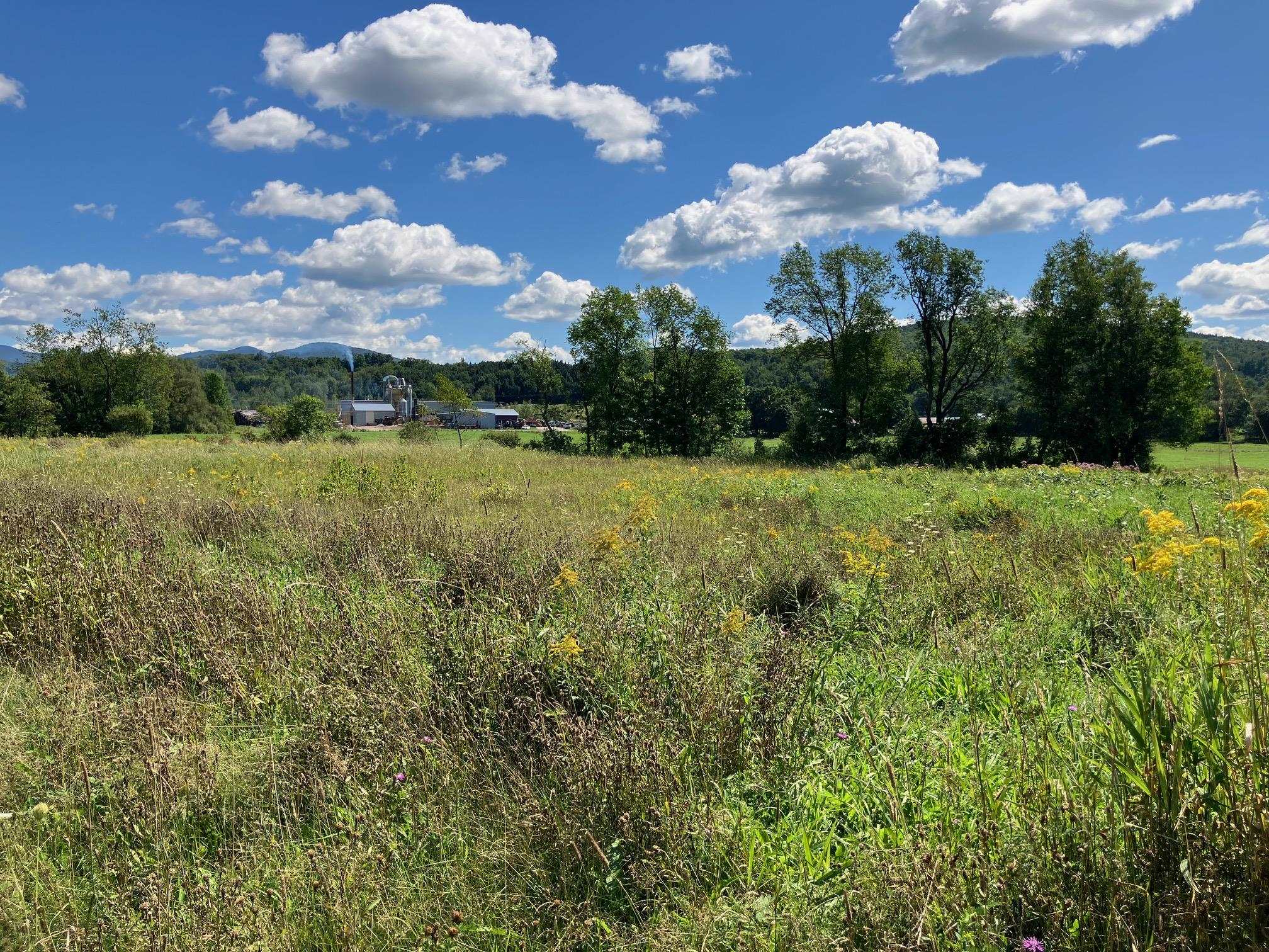 6 Main Street, Unit LOT 6 Richford, VT 05476 - Photo 4 of 7