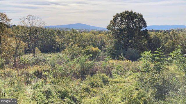View Drive Front Royal, VA 22630 - Photo 12 of 12