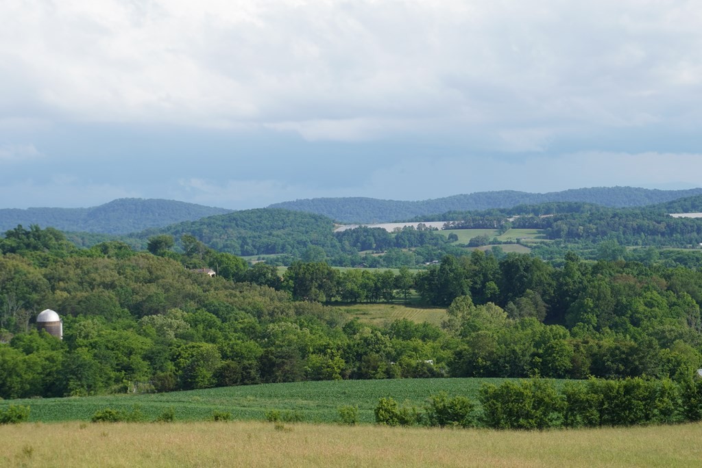 2 Burchell Road New Market, TN 37820 - Photo 4 of 17 Gallery Image 4