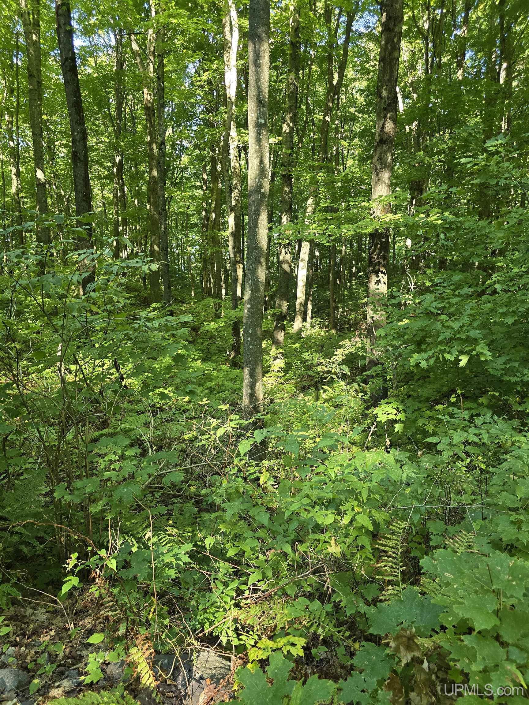 9 Redridge Creek Road Atlantic Mine, MI 49905 - Photo 7 of 27