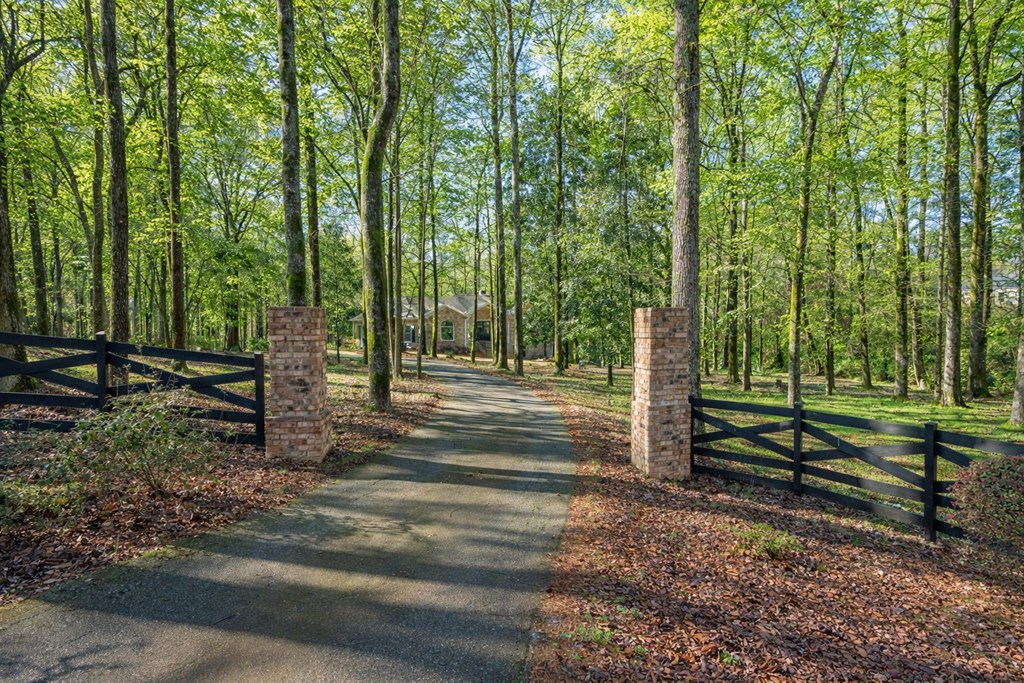 9610 County Line Road Midland, GA 31820 - Photo 3 of 68