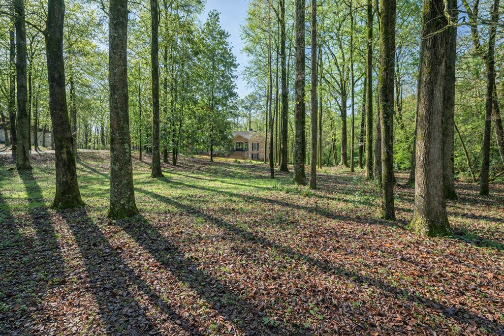 9610 County Line Road Midland, GA 31820 - Photo 4 of 68