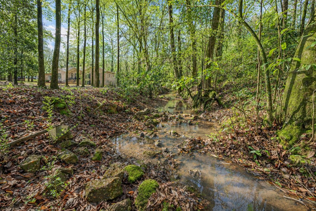 9610 County Line Road Midland, GA 31820 - Photo 5 of 68