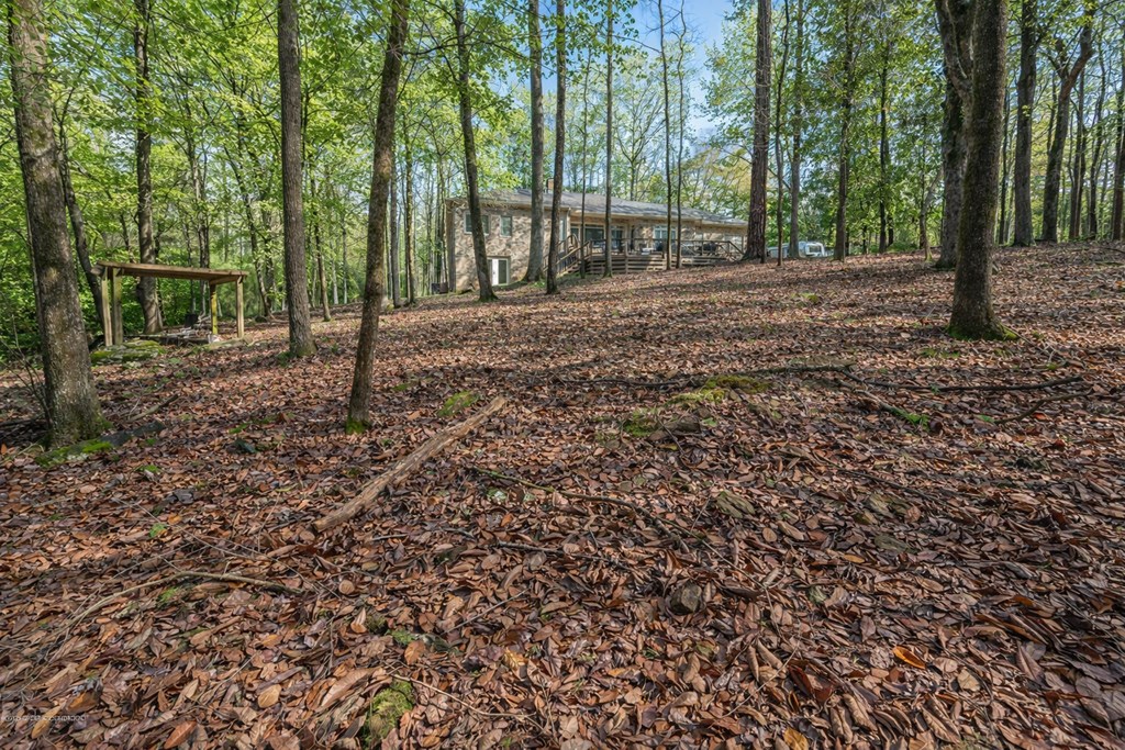 9610 County Line Road Midland, GA 31820 - Photo 65 of 68