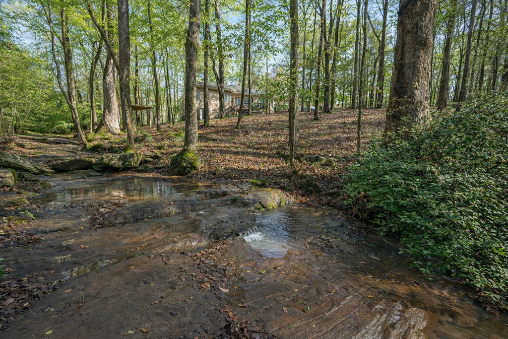 9610 County Line Road Midland, GA 31820 - Photo 66 of 68