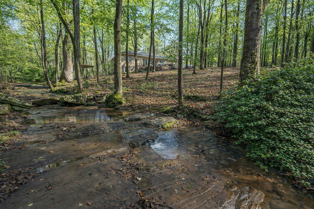 9610 County Line Road Midland, GA 31820 - Photo 67 of 68