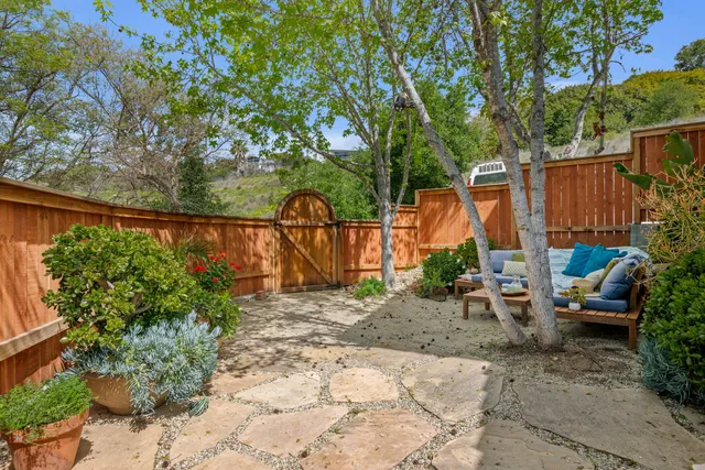 a view of a backyard with plants and a slide