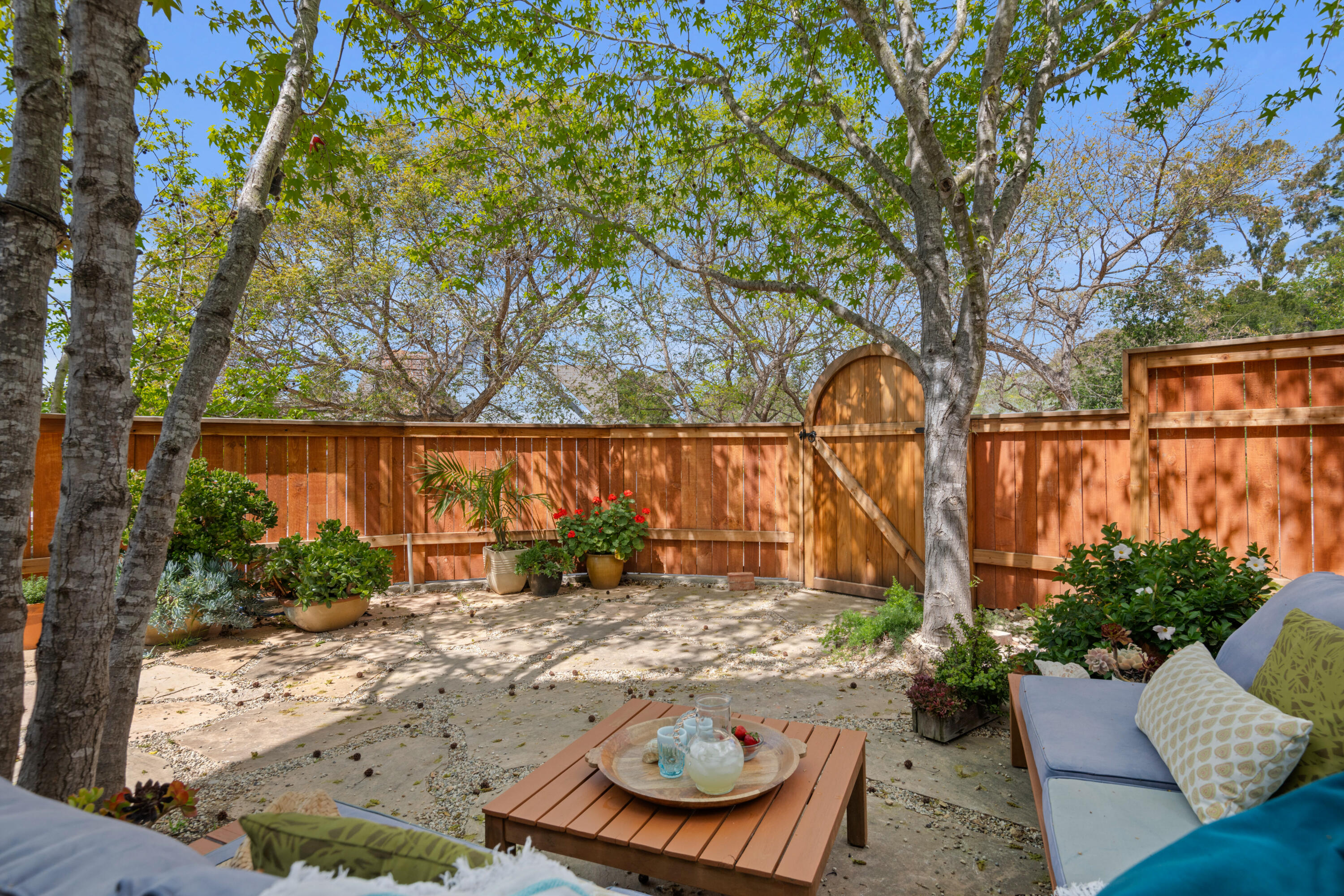 Undisclosed Address Santa Barbara, CA 93111 - Photo 19 of 20 a view of backyard with plants and trees