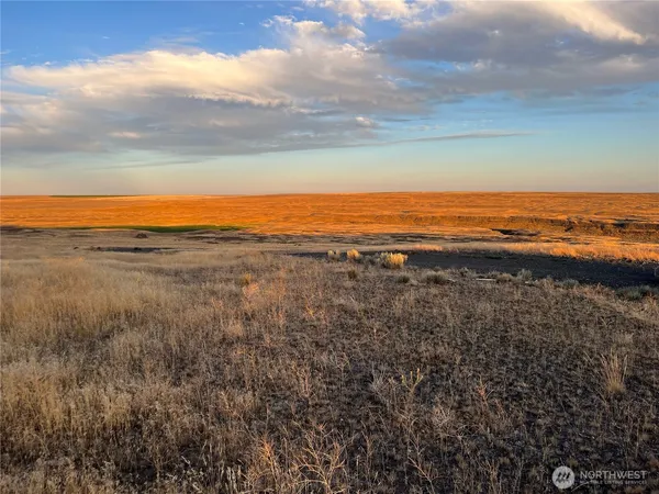 a view of ocean and city