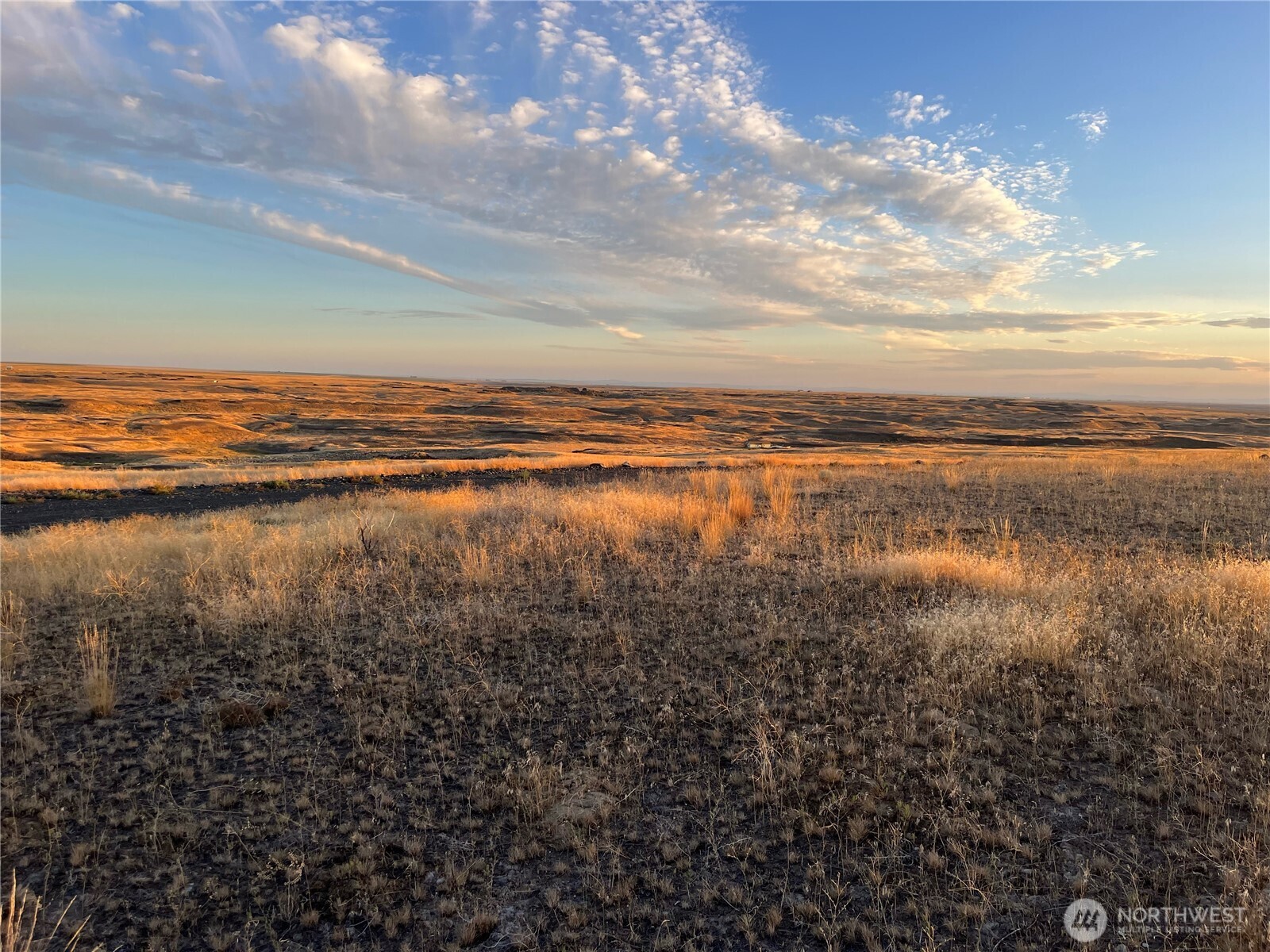 45 Eagle Springs Ranch Marlin, WA 98832 - Photo 2 of 4 a view of an ocean