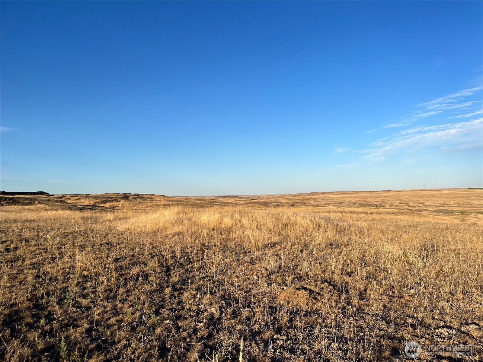45 Eagle Springs Ranch Marlin, WA 98832 - Photo 4 of 4 a view of an ocean