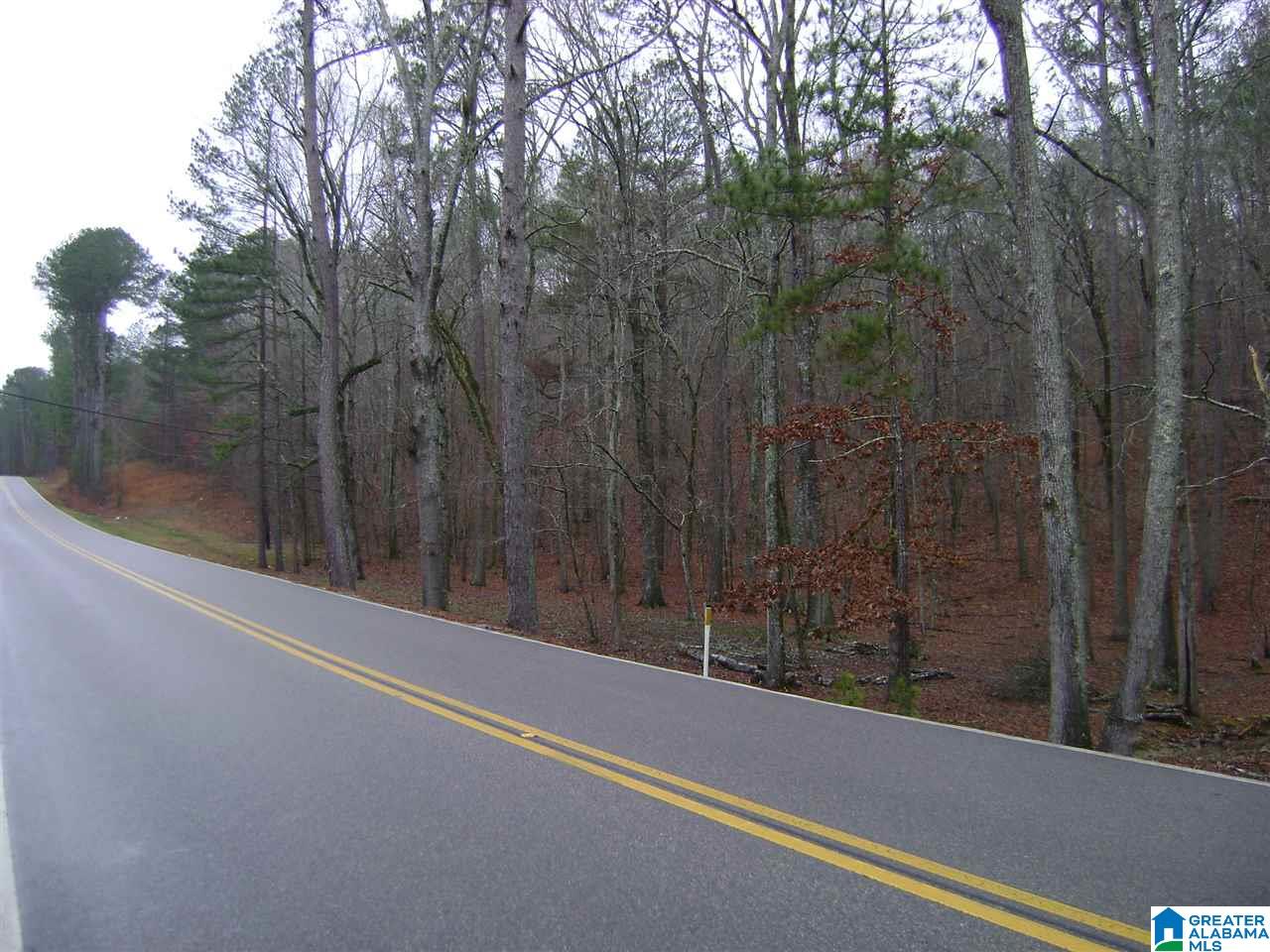 47586 Highway 25 Sterrett, AL 35147 - Photo 5 of 20