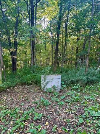 $188,000 | 1803 County Road 194, Pinckney, NY 13626