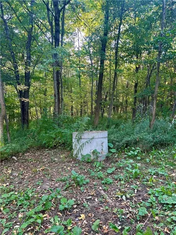 $188,000 | 1803 County Road 194, Pinckney, NY 13626