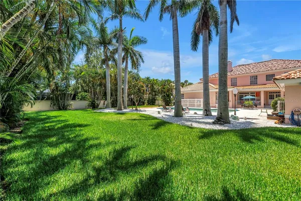 a view of a yard with palm trees