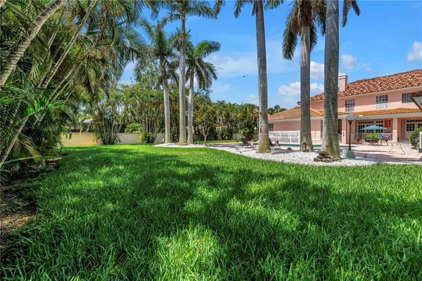 a view of three palm trees