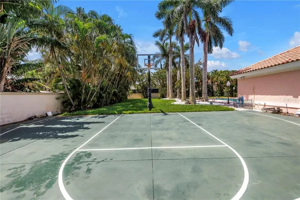 a view of a backyard with palm trees