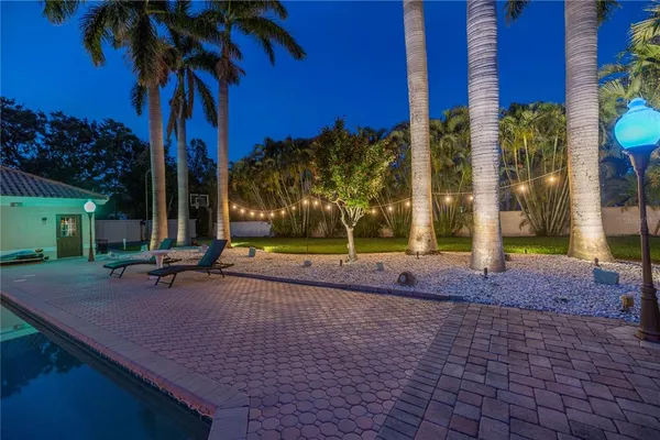 a view of a park with potted plants and palm trees
