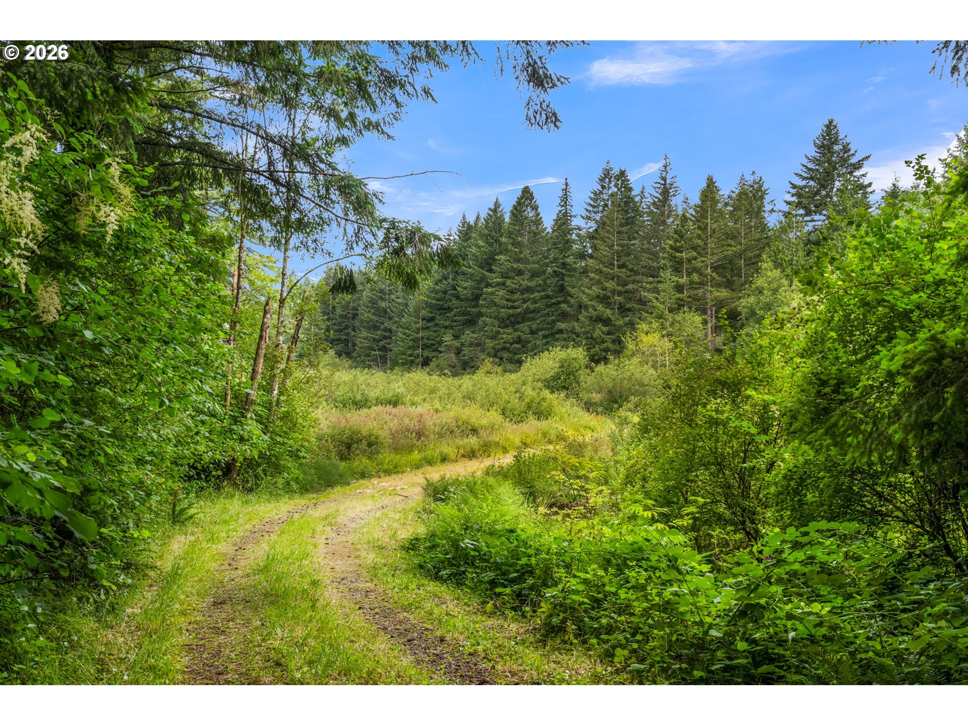 3832 Northeast Cavitt Road Camas, WA 98607 - Photo 32 of 44