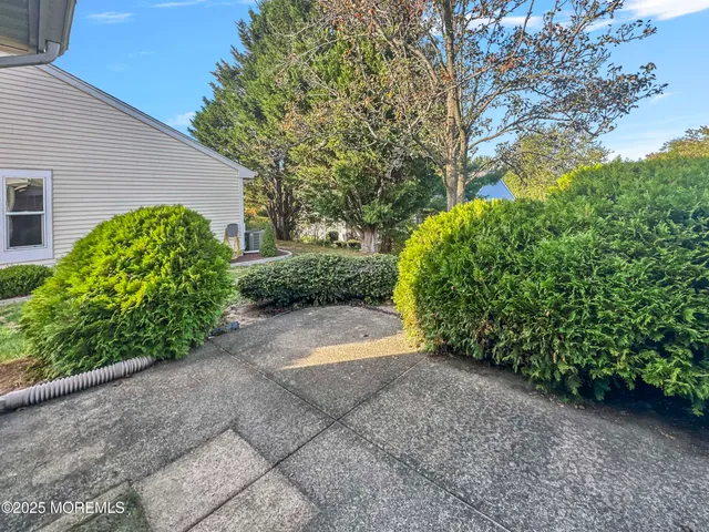 a view of a back yard with plants and large trees