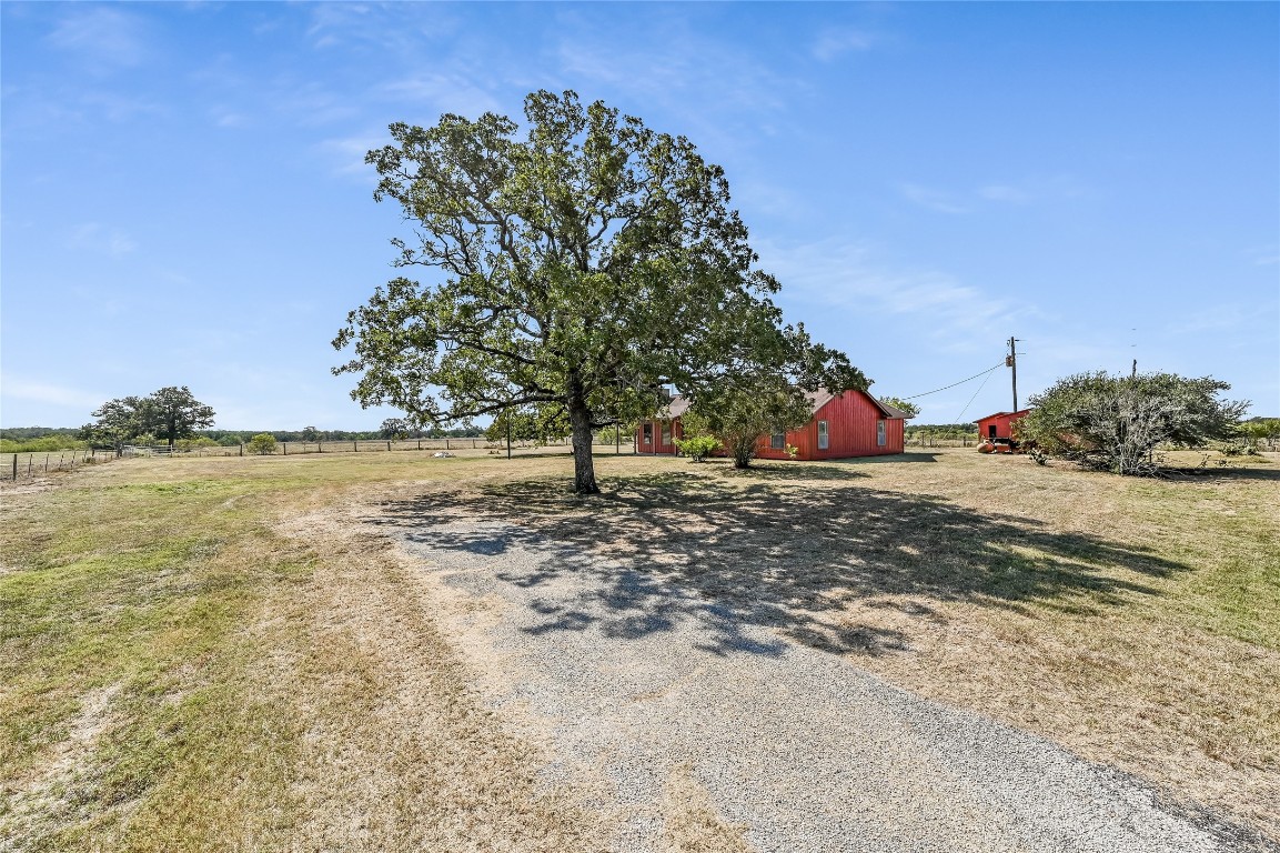 5637 Jeddo Road Waelder, TX 78959 - Photo 8 of 37 a view of a tree is standing next to a yard