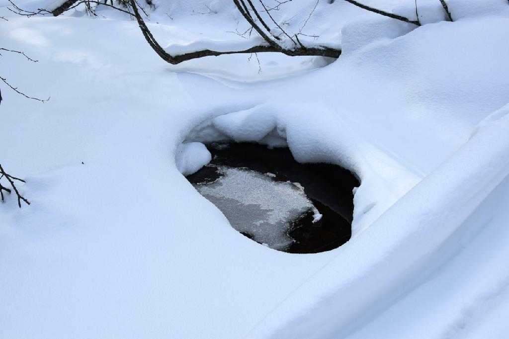 620 Bog Road New Portland, ME 04961 - Photo 27 of 28 Running Stream