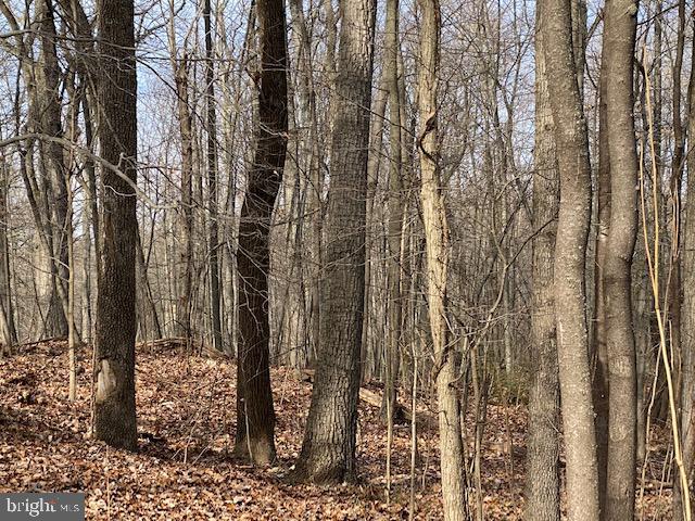 P-186 Dixon Road Frederick, MD 21704 - Photo 2 of 8