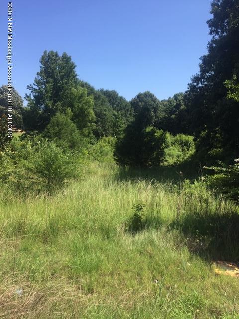 54 Rock Hill Road Sardis, MS 38666 - Photo 1 of 5 IMG_6580