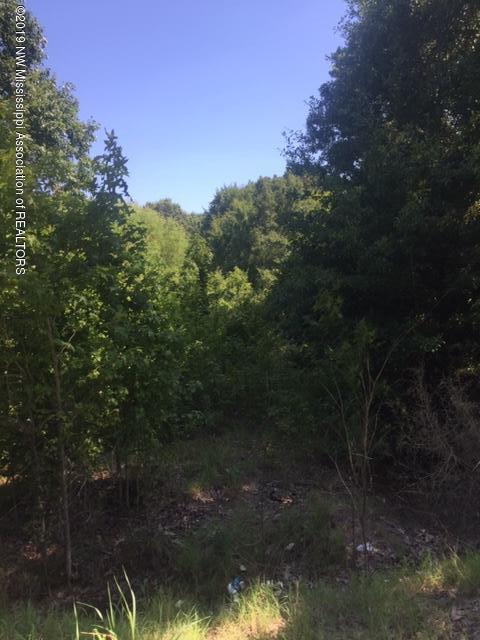 54 Rock Hill Road Sardis, MS 38666 - Photo 5 of 5 IMG_6584