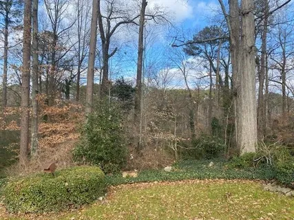a backyard of a house with lots of green space
