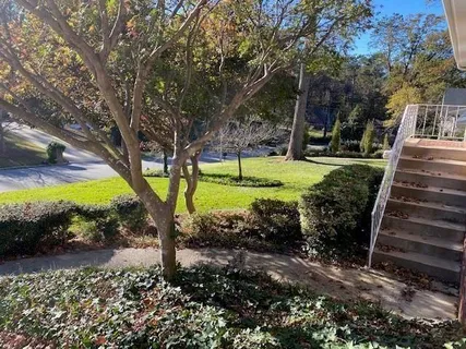 a view of a park with large trees