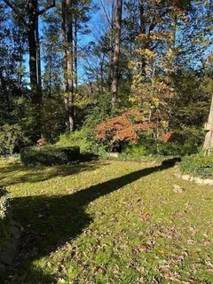 a view of a garden with a lake