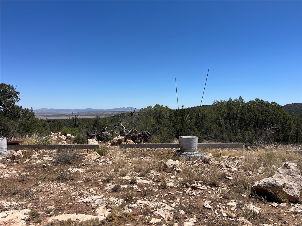 46675 North Edge Ridge Road Seligman, AZ 86337 - Photo 6 of 28