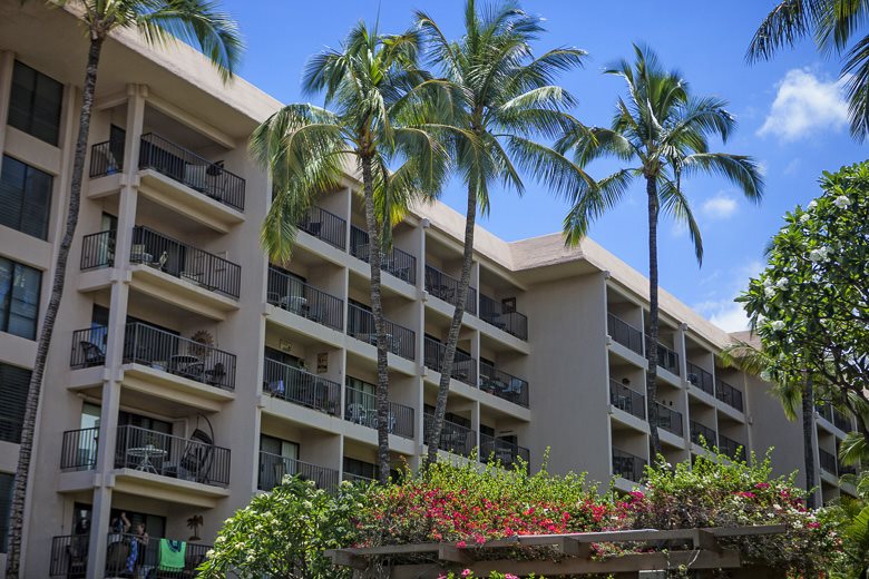 2531 South Kihei Road, Unit C512 Kihei, HI 96753 - Photo 24 of 27 a view of a palm plant in front of a building