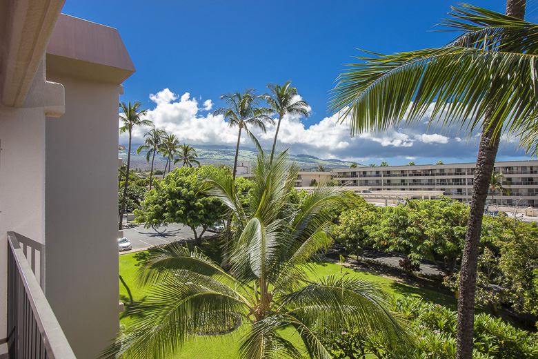 2531 South Kihei Road, Unit C512 Kihei, HI 96753 - Photo 3 of 27 a view of a flower in a garden