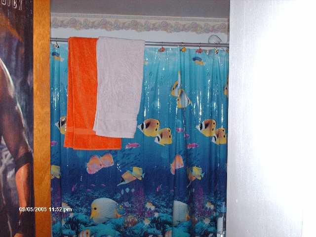 150 Ligon Street Clemson, SC 29631 - Photo 6 of 7