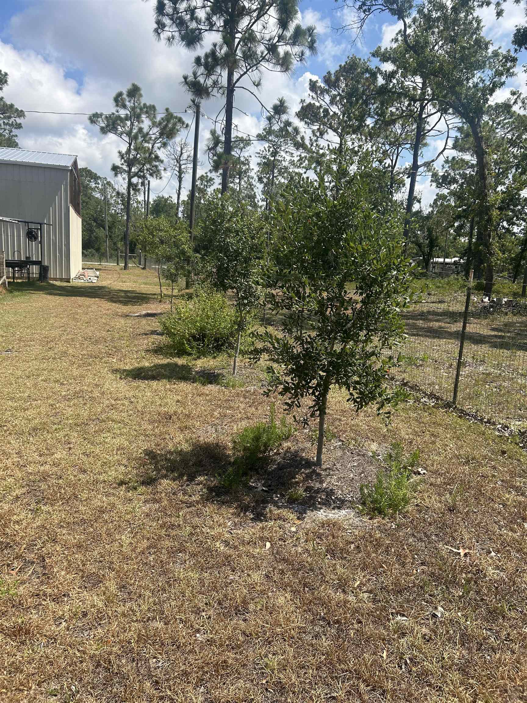 2255 White Oak Road Perry, FL 32348 - Photo 12 of 17