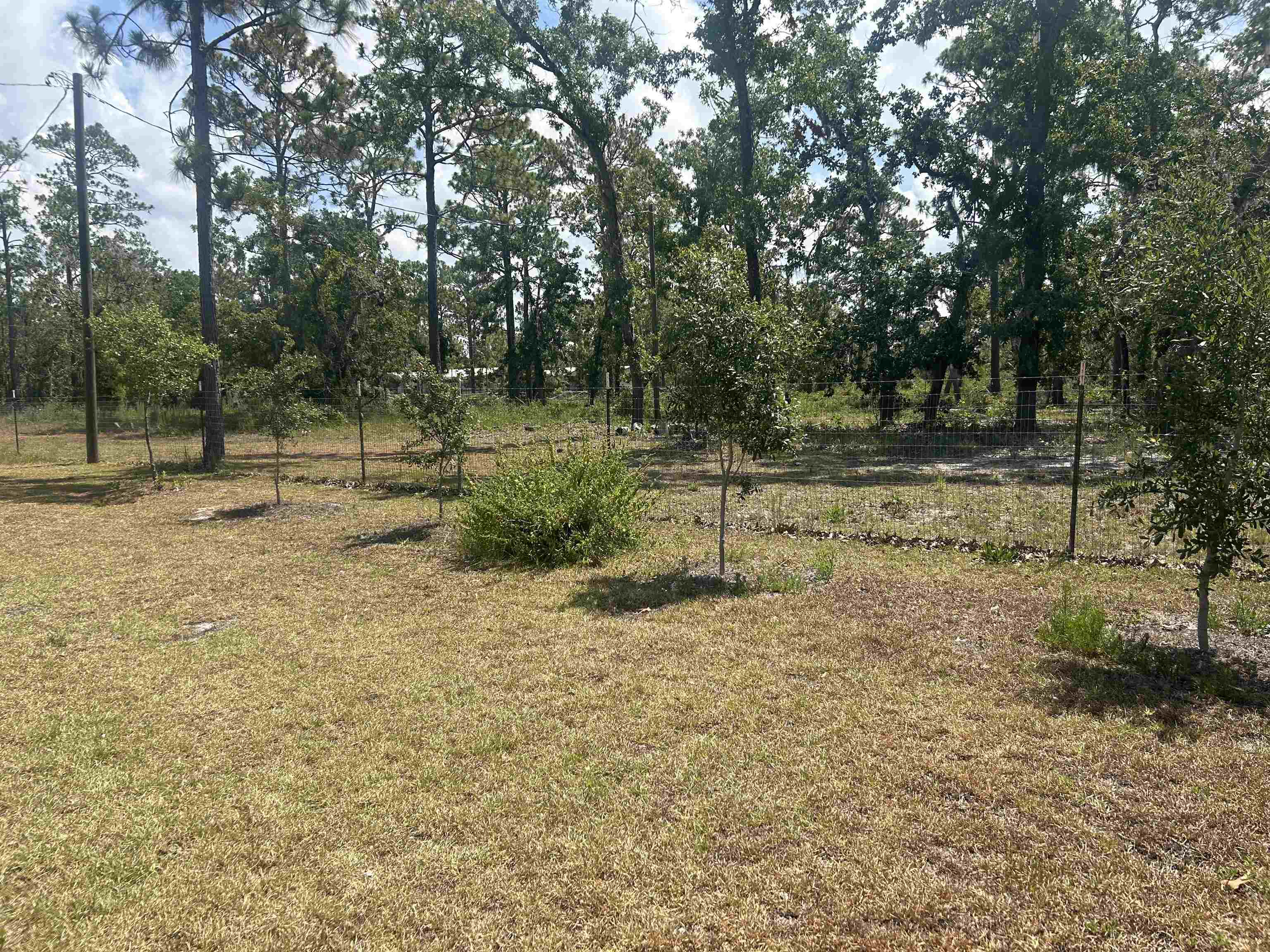 2255 White Oak Road Perry, FL 32348 - Photo 14 of 17