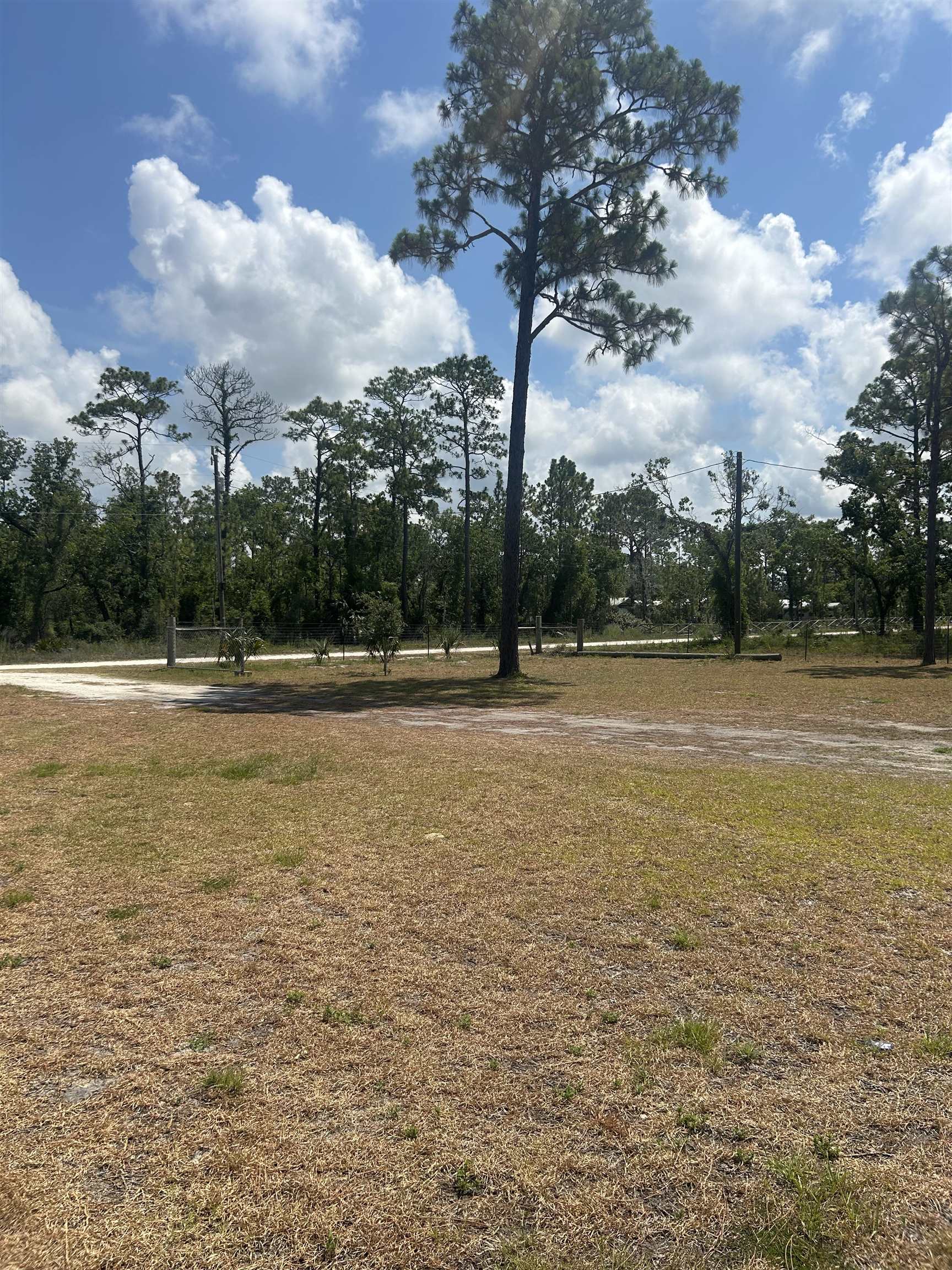 2255 White Oak Road Perry, FL 32348 - Photo 15 of 17