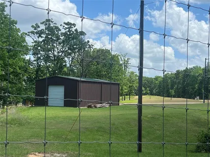 a view of a trees in a yard