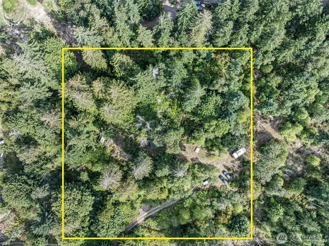 a view of a house with backyard and a tree