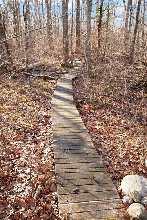 175 Mountain Street Sharon, MA 02067 - Photo 25 of 28 a view of pathway with yard