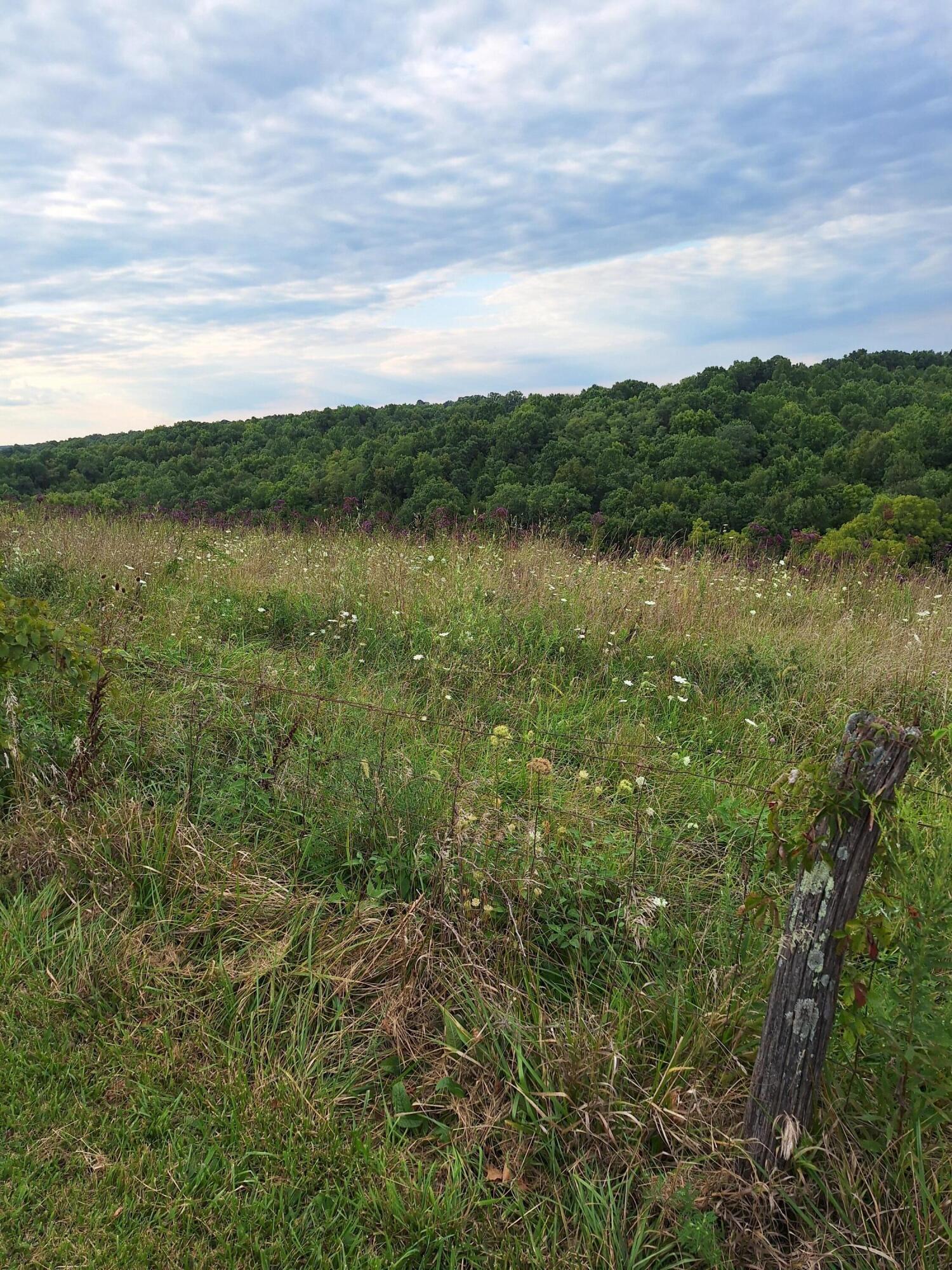 0 Keefer Road Corinth, KY 41010 - Photo 15 of 17 Gallery Image 15