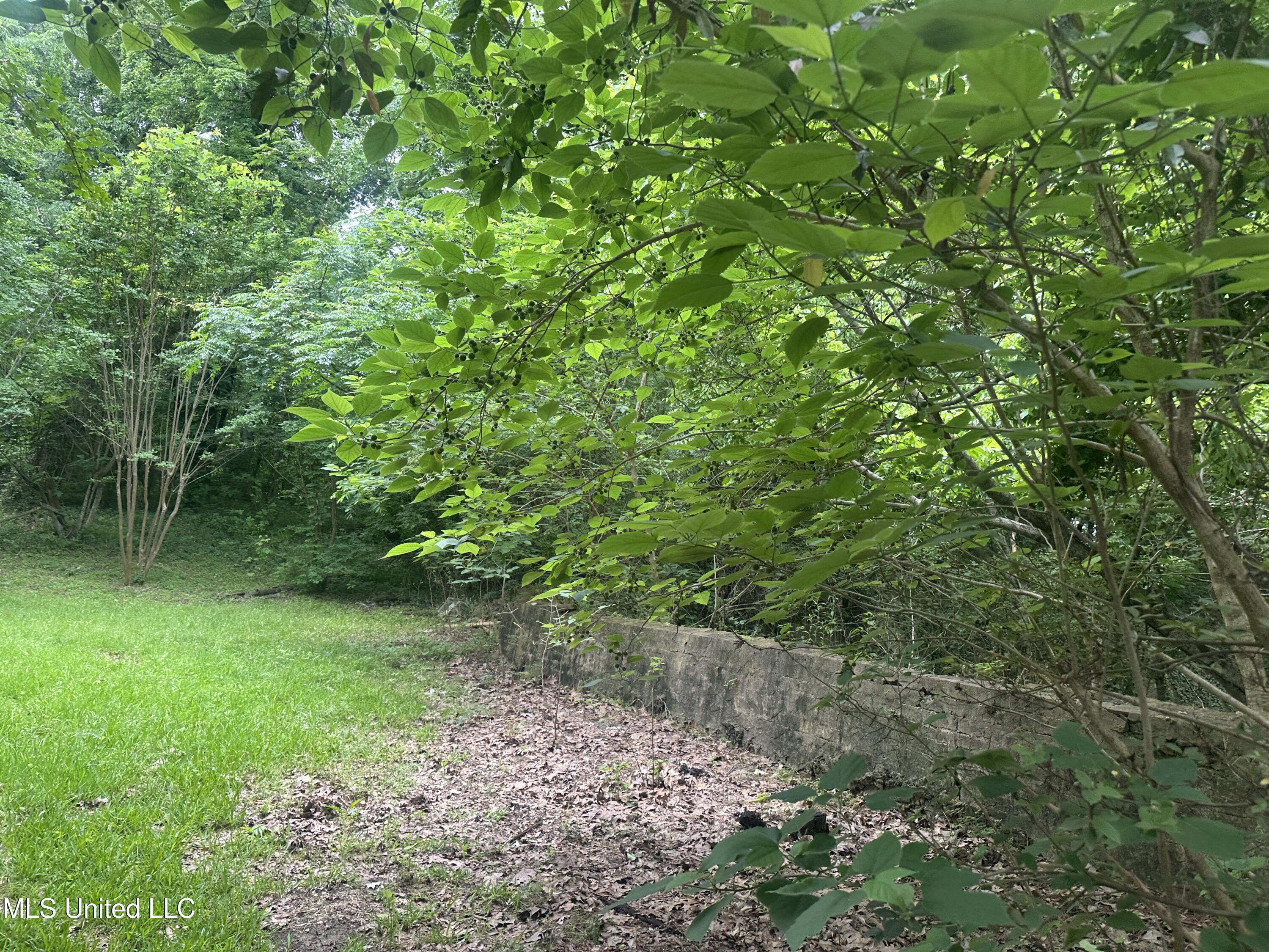 840 Ridge Road Yazoo City, MS 39194 - Photo 6 of 34 IMG_0874