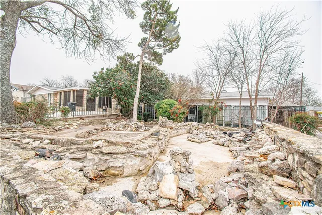 a view of a backyard with a large tree