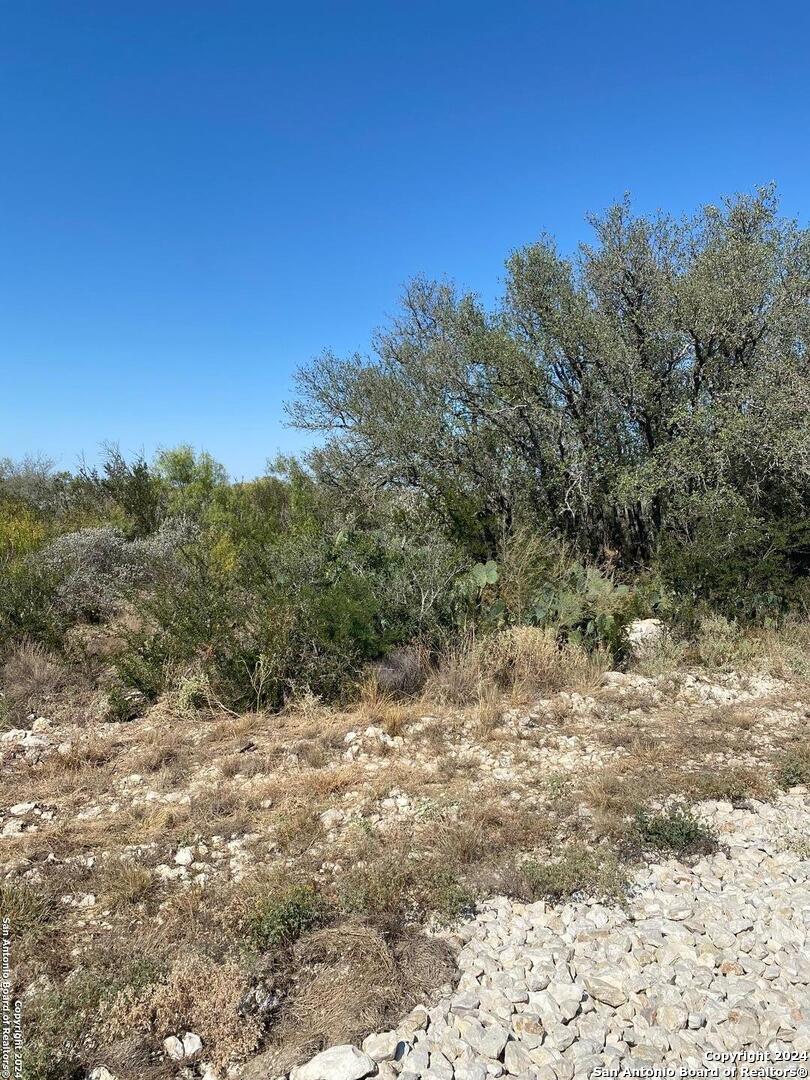249 Legend Hills Uvalde, TX 78801 - Photo 2 of 5 a view of a forest with trees in the background