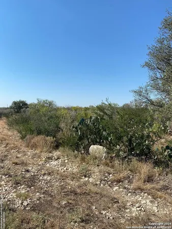 a view of a dry yard with trees